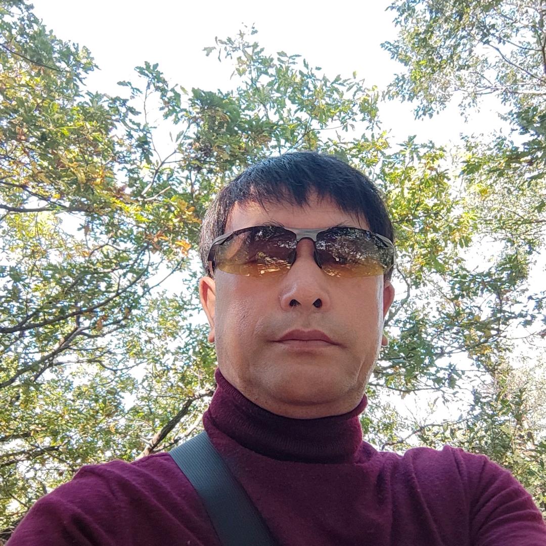 文文