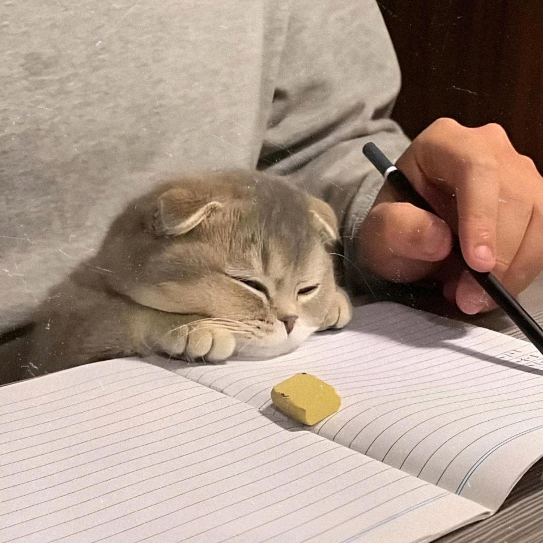 柒