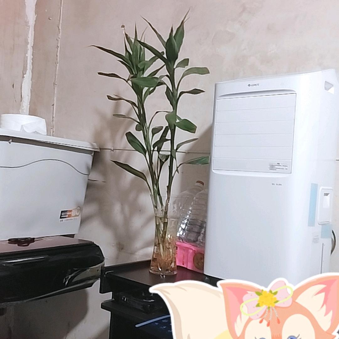 珍惜身边的人。