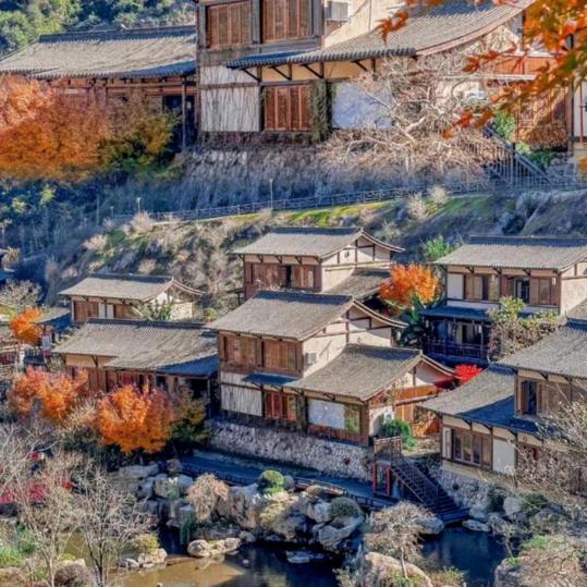旅游达人
