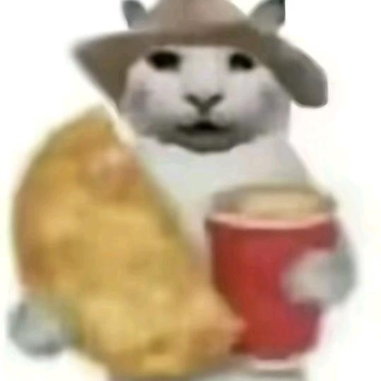 小瑞y