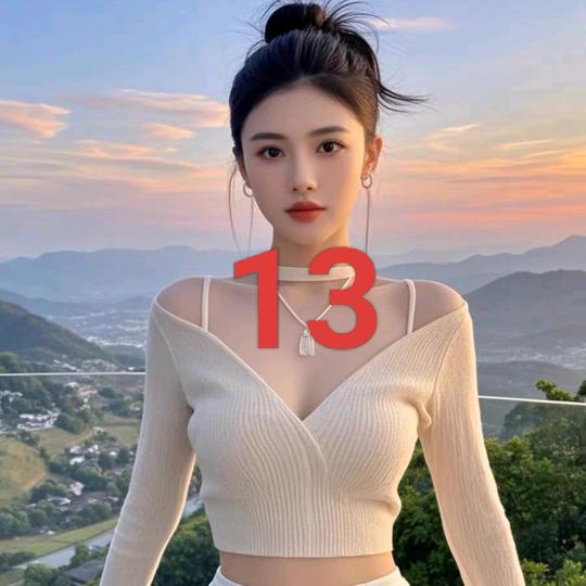 13迭部庞芬