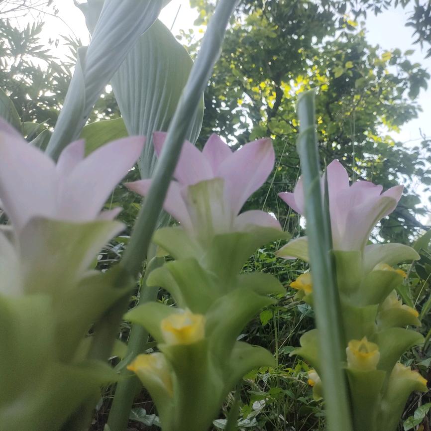 (≧ω≦)谁懂我心悲(ಡωಡ)