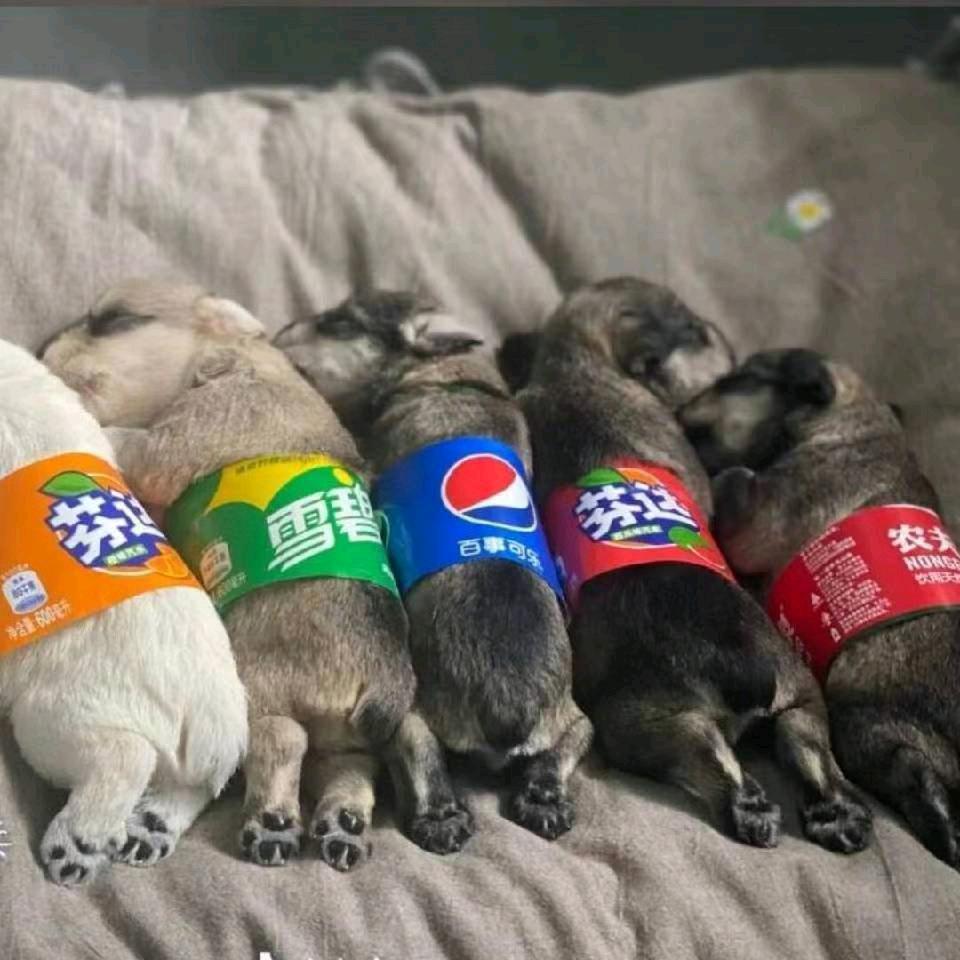 指甲钳.