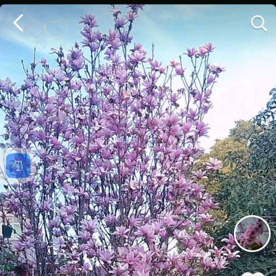 💞⅓余生୧⍤⃝爱·͜· 自己¼💞