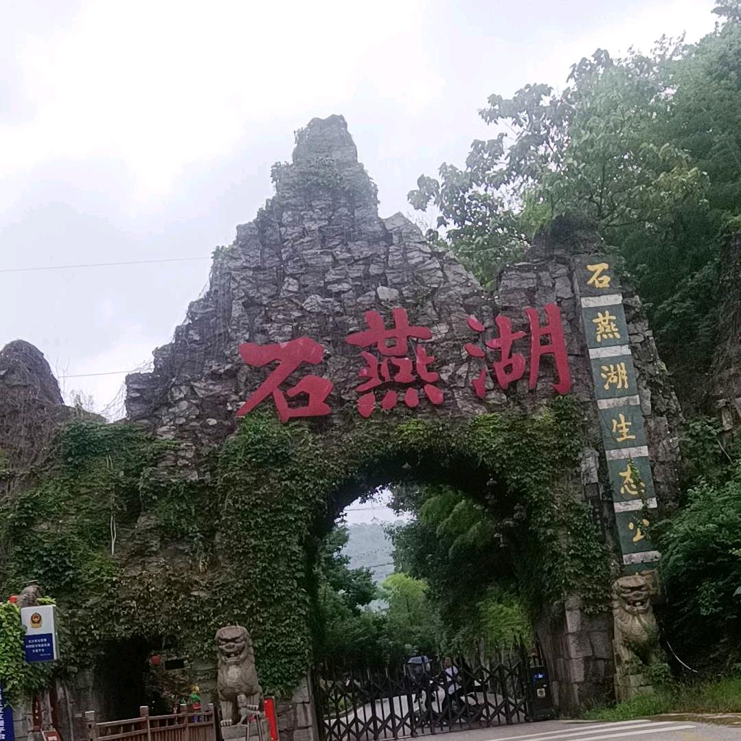 我的真心喂狗了