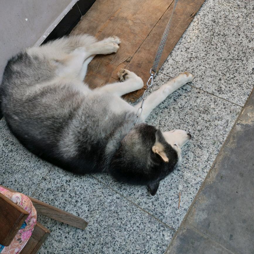 与你无关
