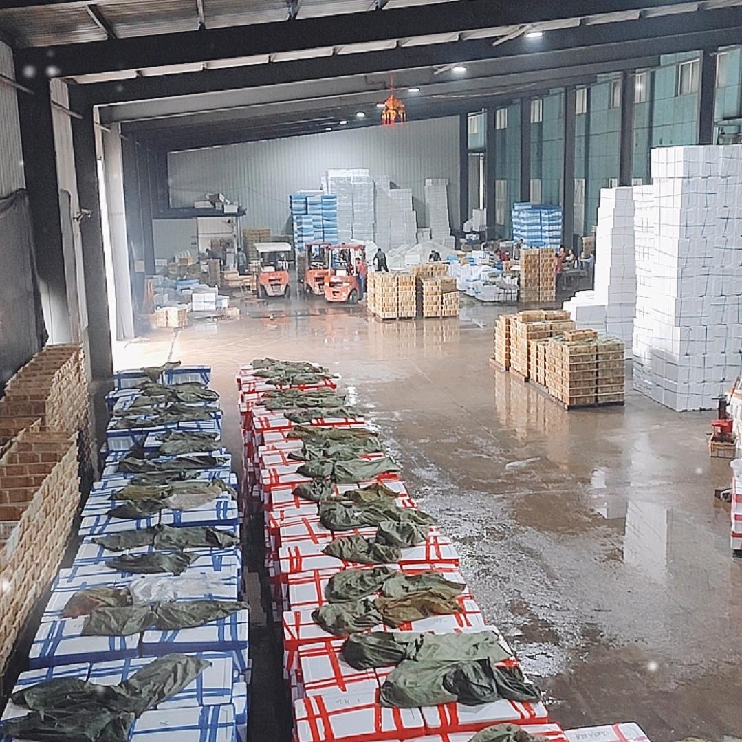 中国贝都辽宁东港贝类海鲜