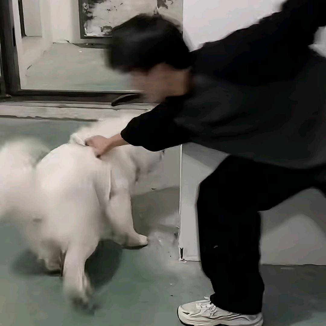 CSgo LeT丶林丫丫