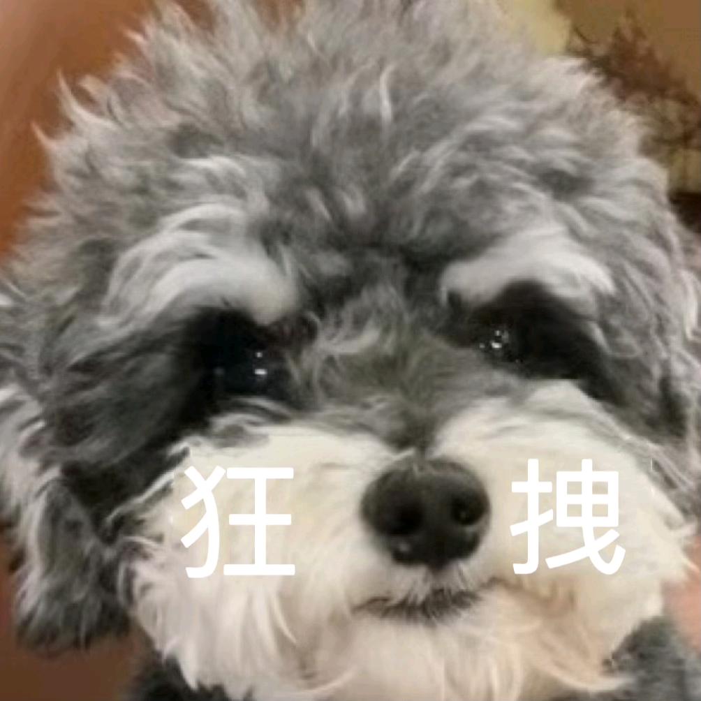 我都困啦