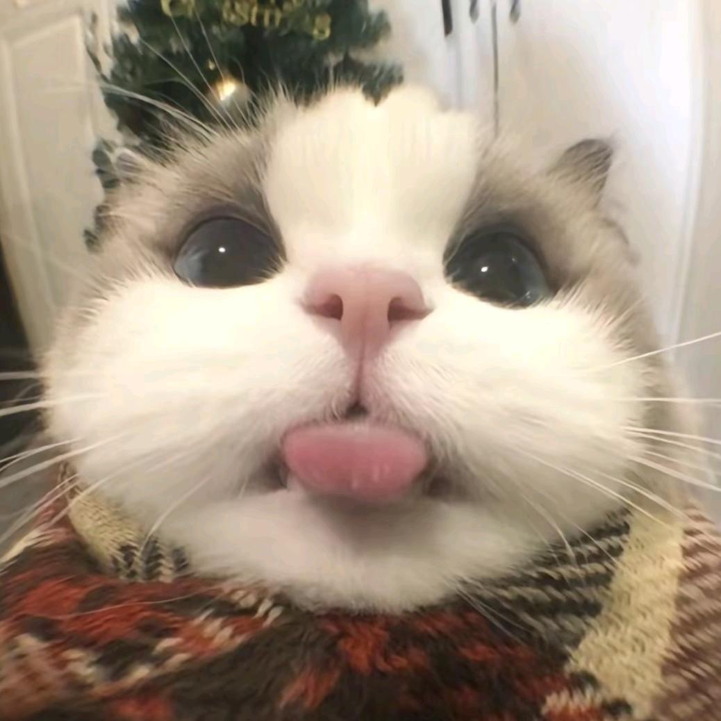 踏鹄