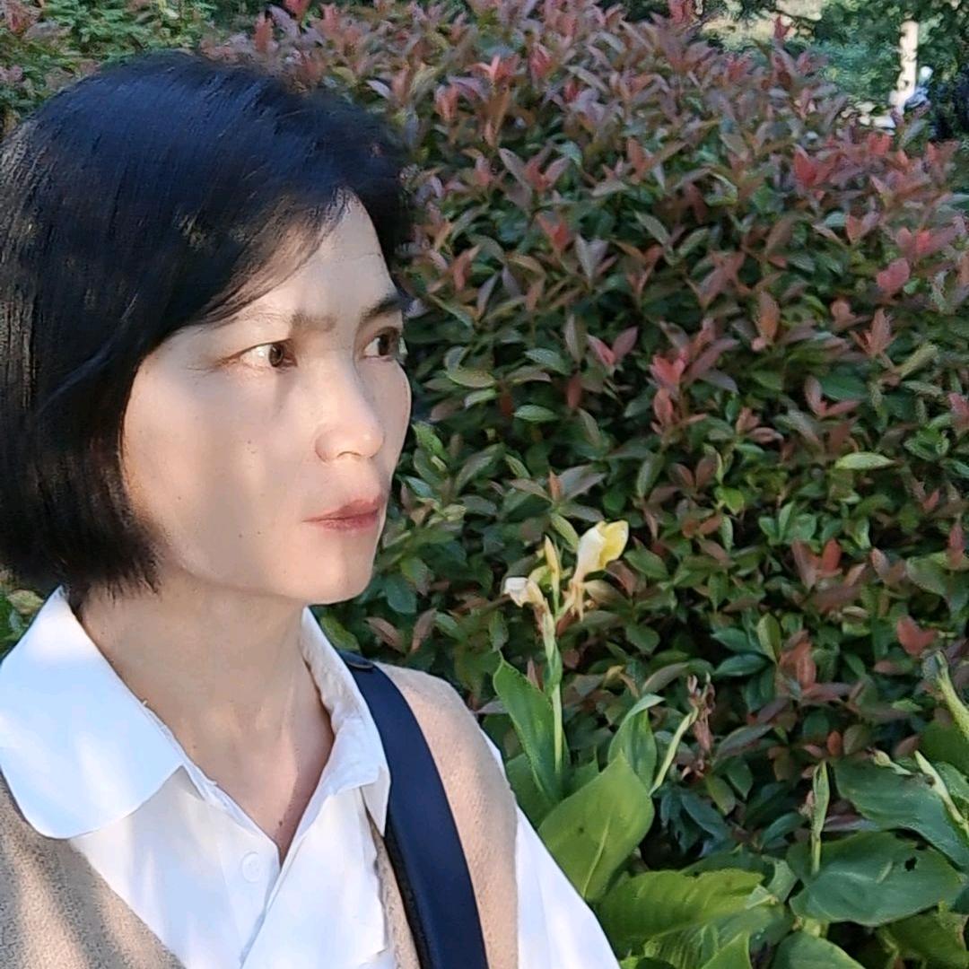 成八姐2