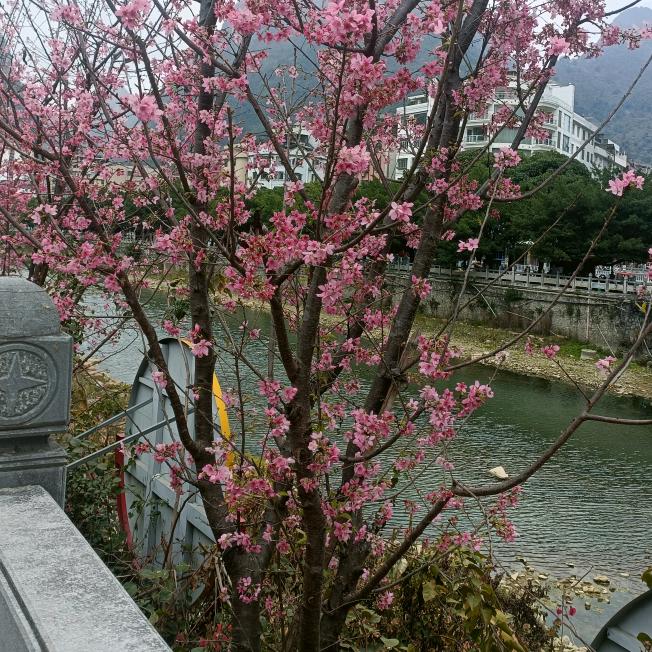 ꧁💞冷暖꧔ꦿ℘᭄ᩚ꯭ᩚ自知💞᭄᪲ᩚ꯭