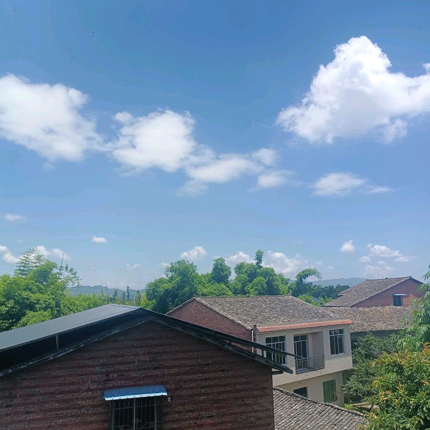 开心果