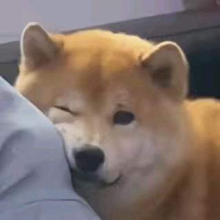 东仔不想熬夜