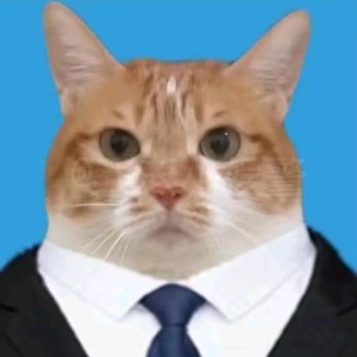 上班猫猫
