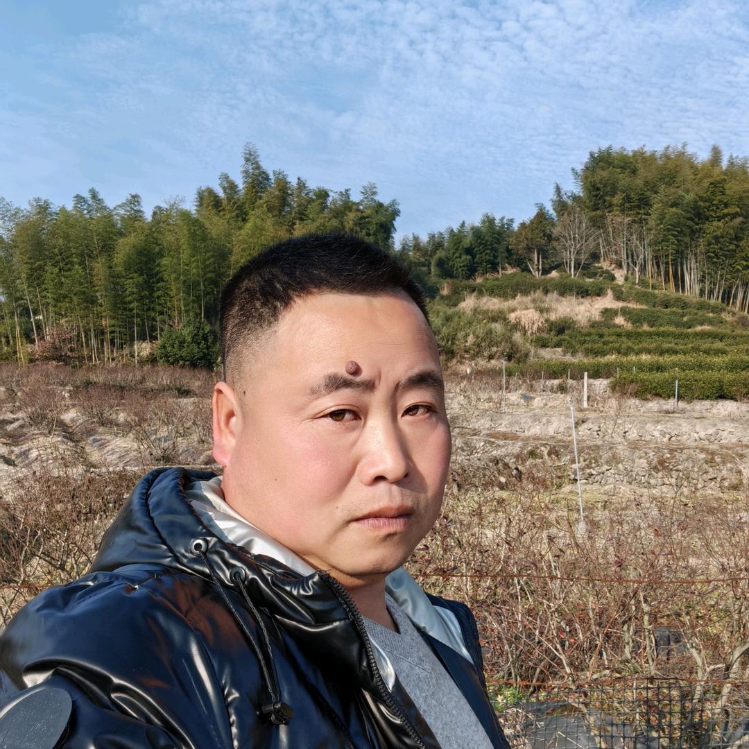 山丰