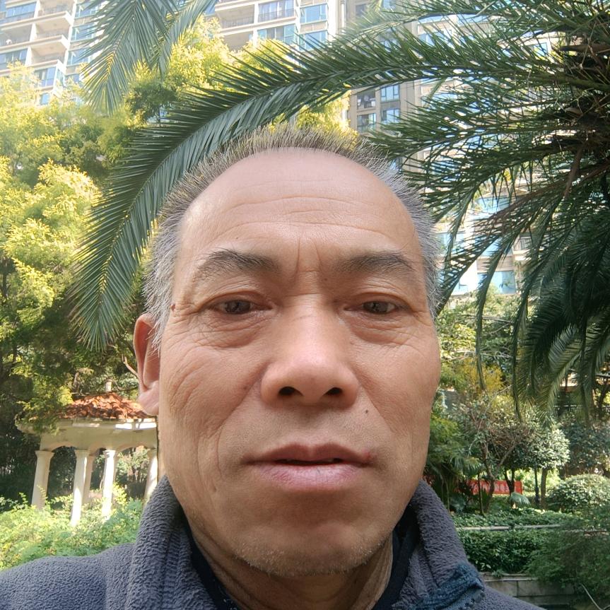 王哥（秦蜀游）