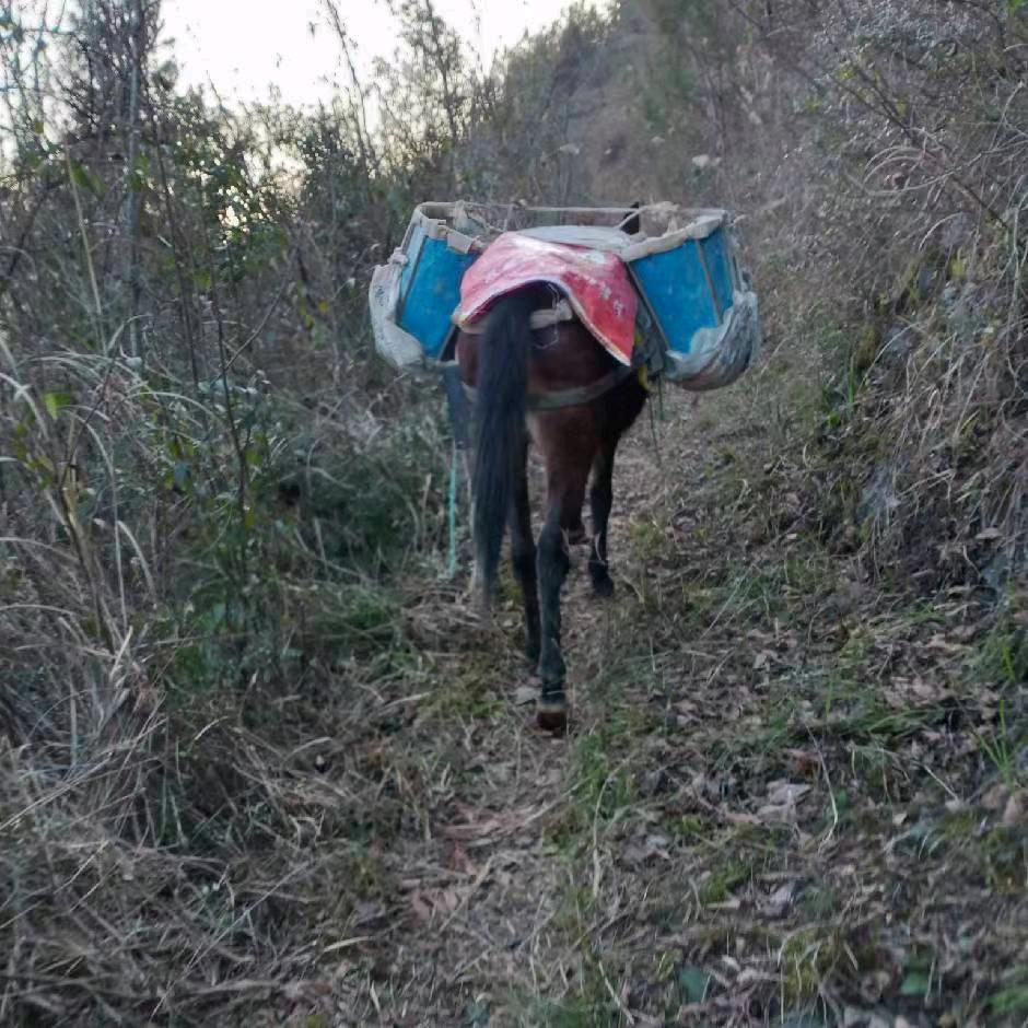 罗四哥制作通风保暧风官