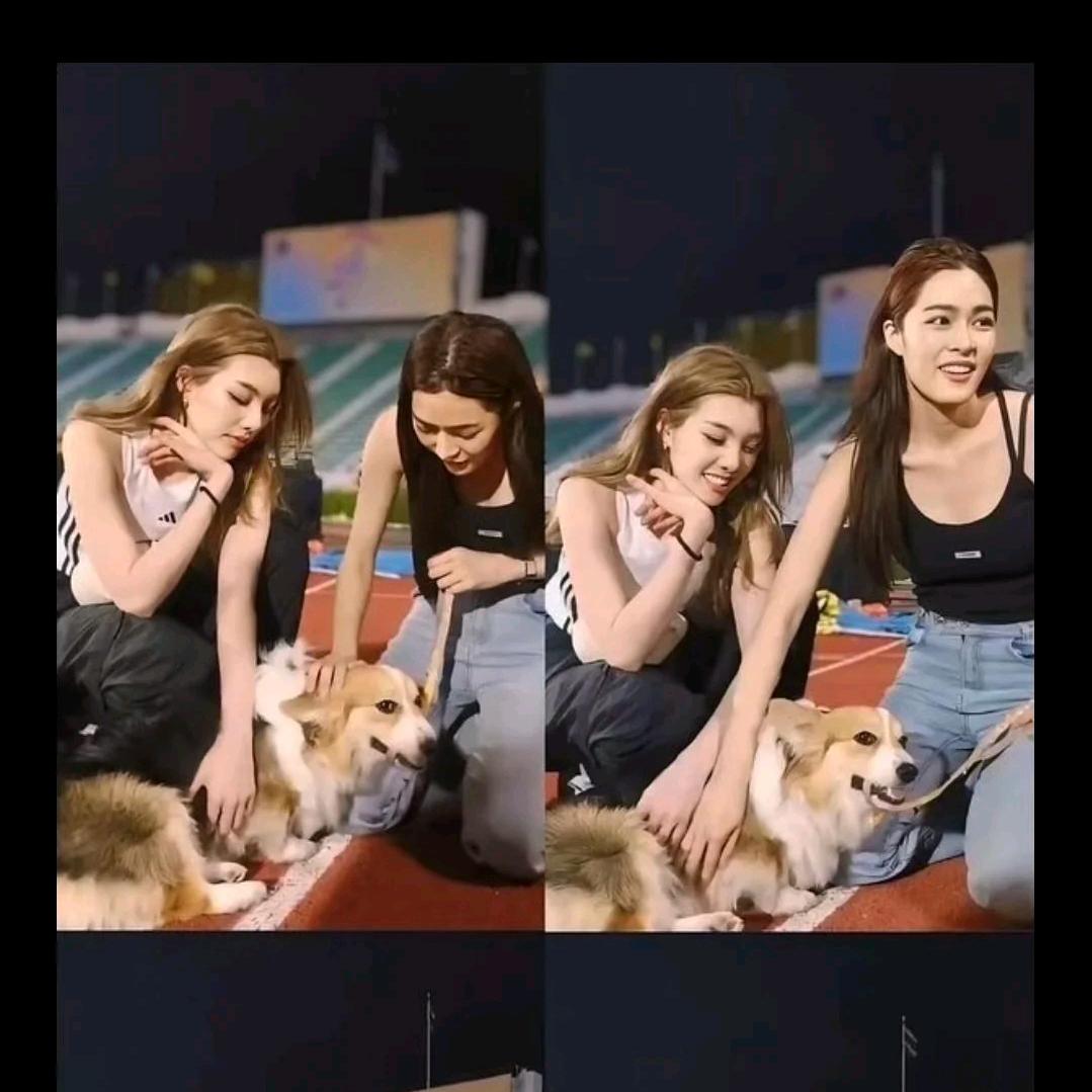 第三方爱（限流版）