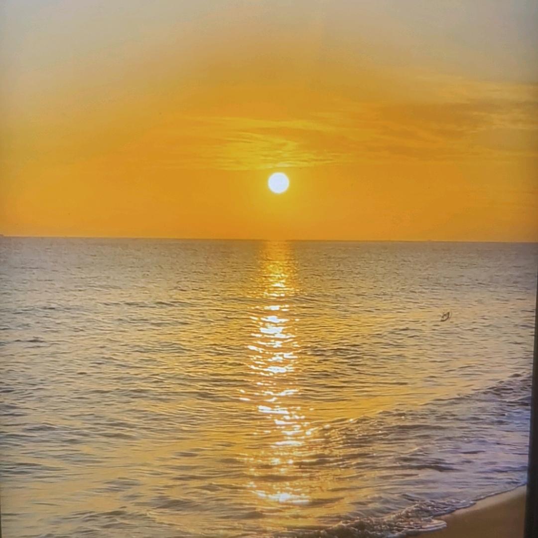 皮老板汽车脚垫（一品工匠）