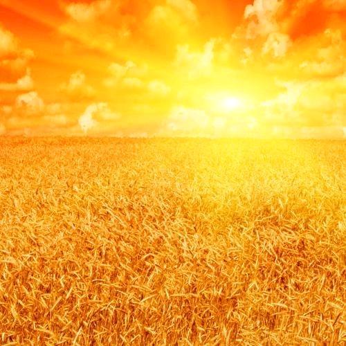 菏泽正能量