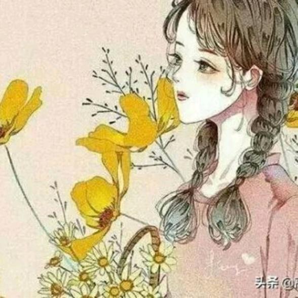 徽姑娘健康养生茶