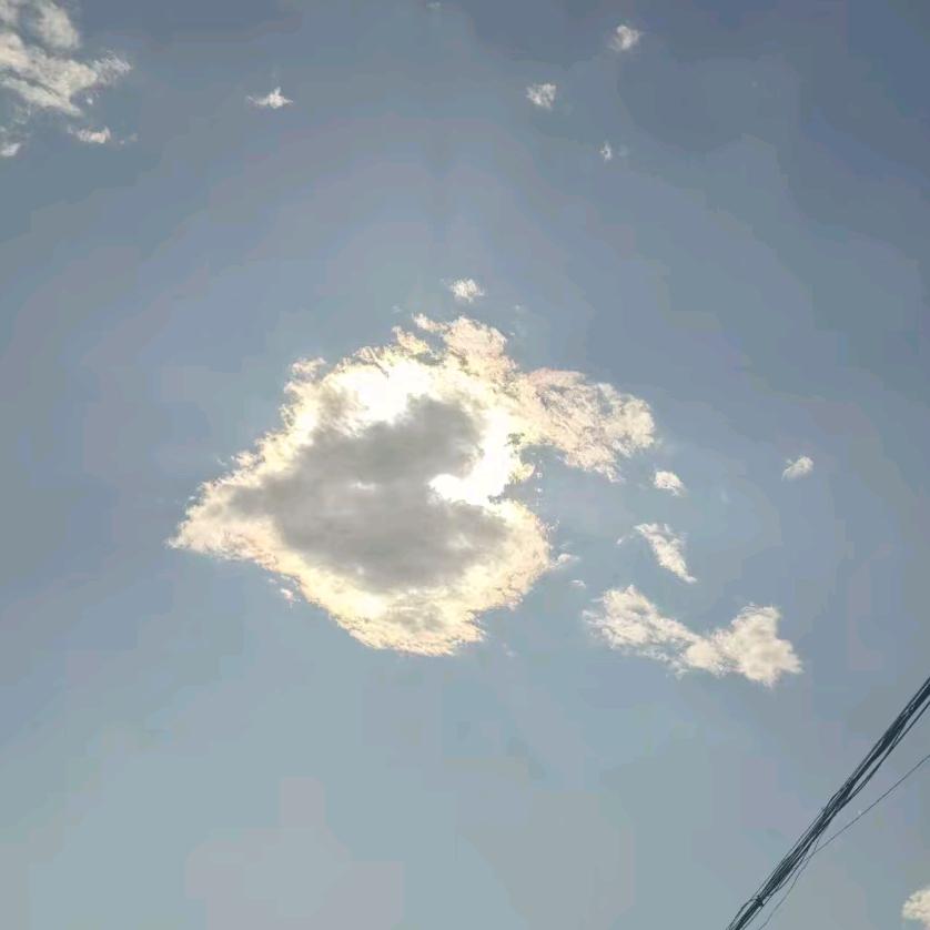 Zxx好像