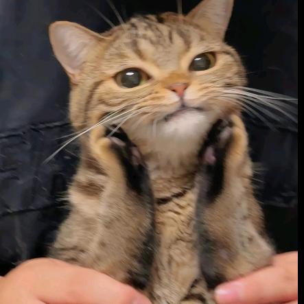 彦祖顺