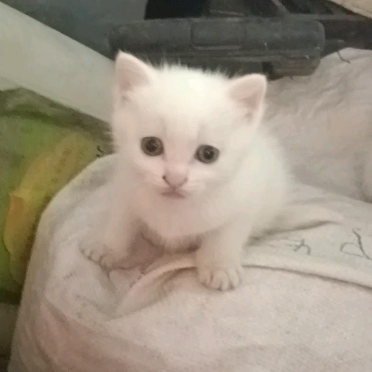 林林~