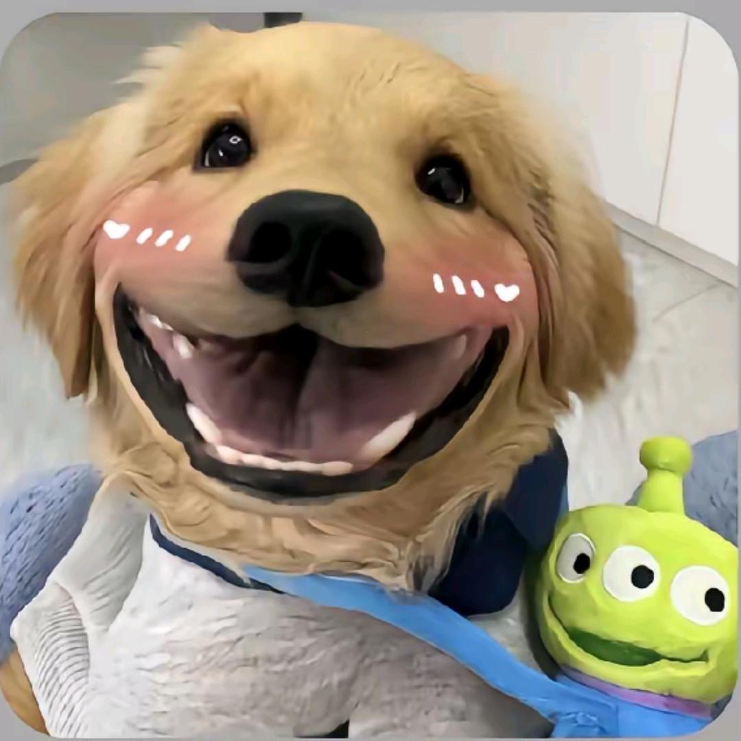 西西博b