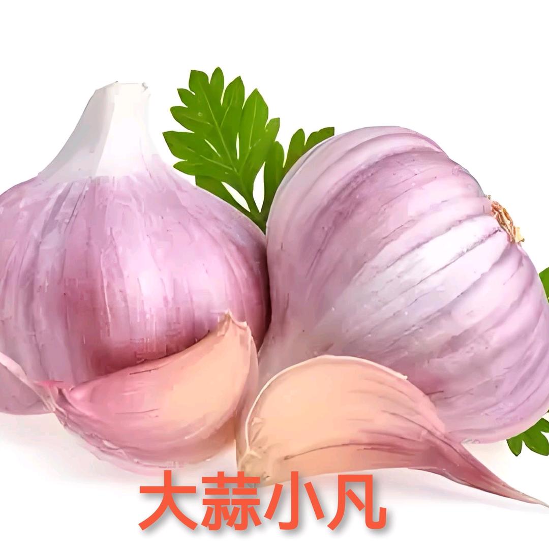 大蒜小凡