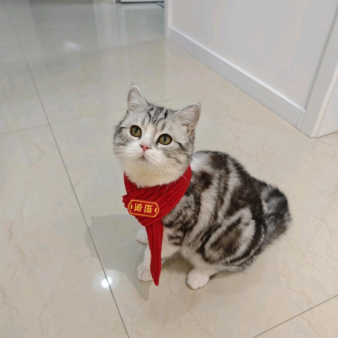 谁把我空挡偷了
