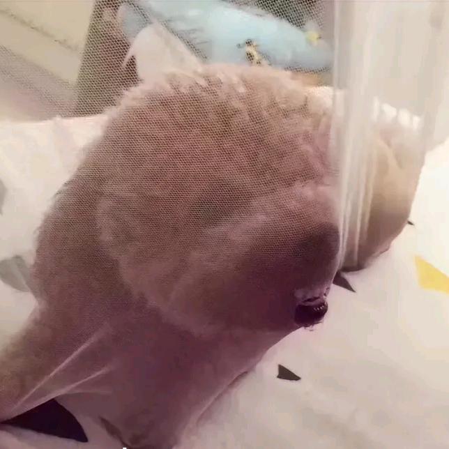 你怎么哭了、