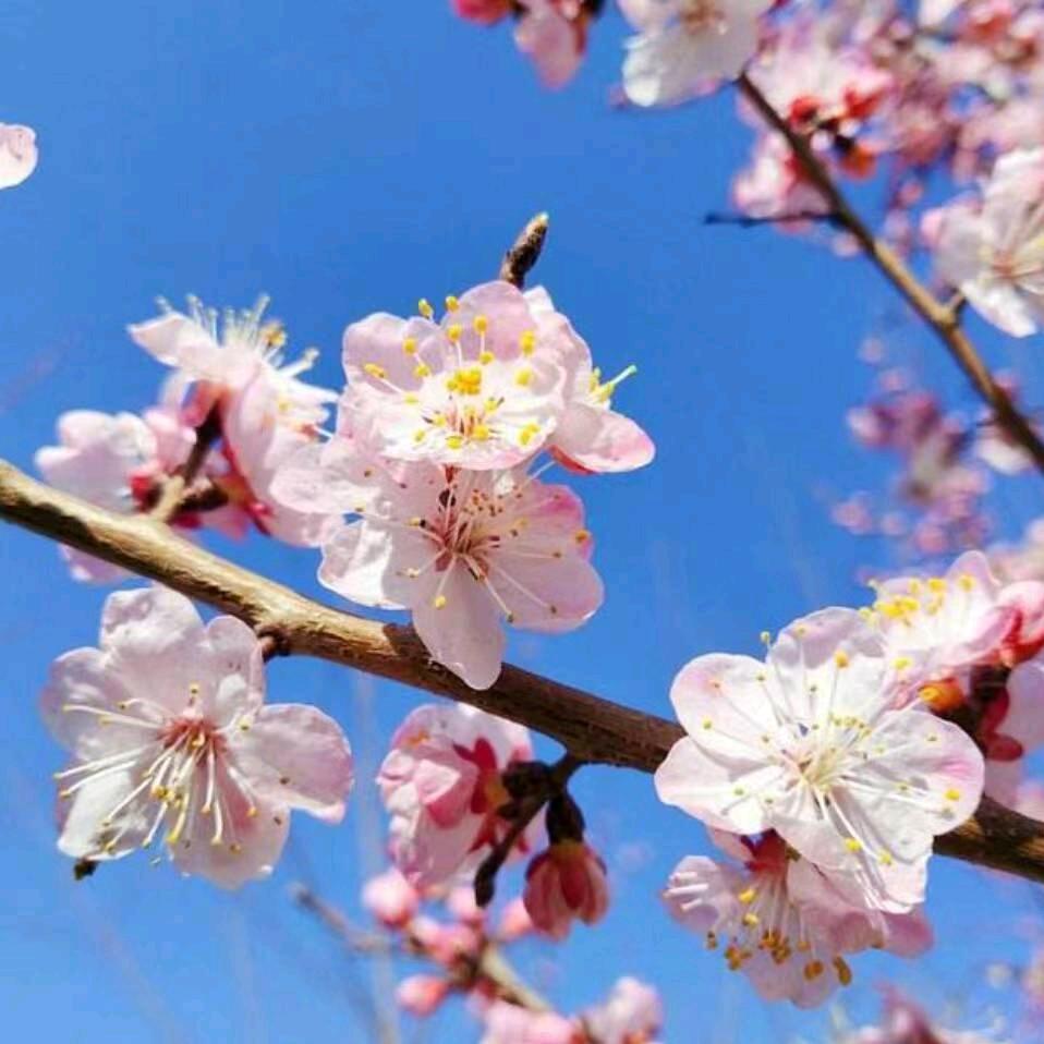 温暖随性
