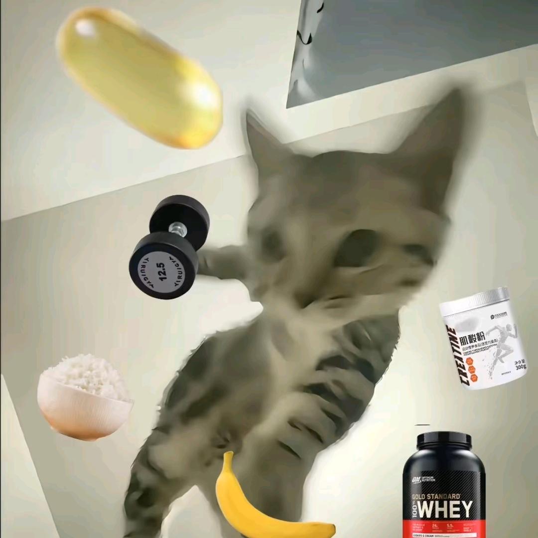 ୧꒰•̀ᴗ•́꒱୨