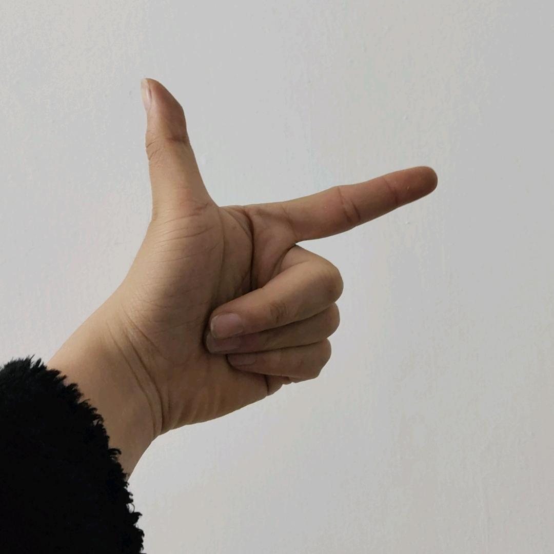 高端模玩