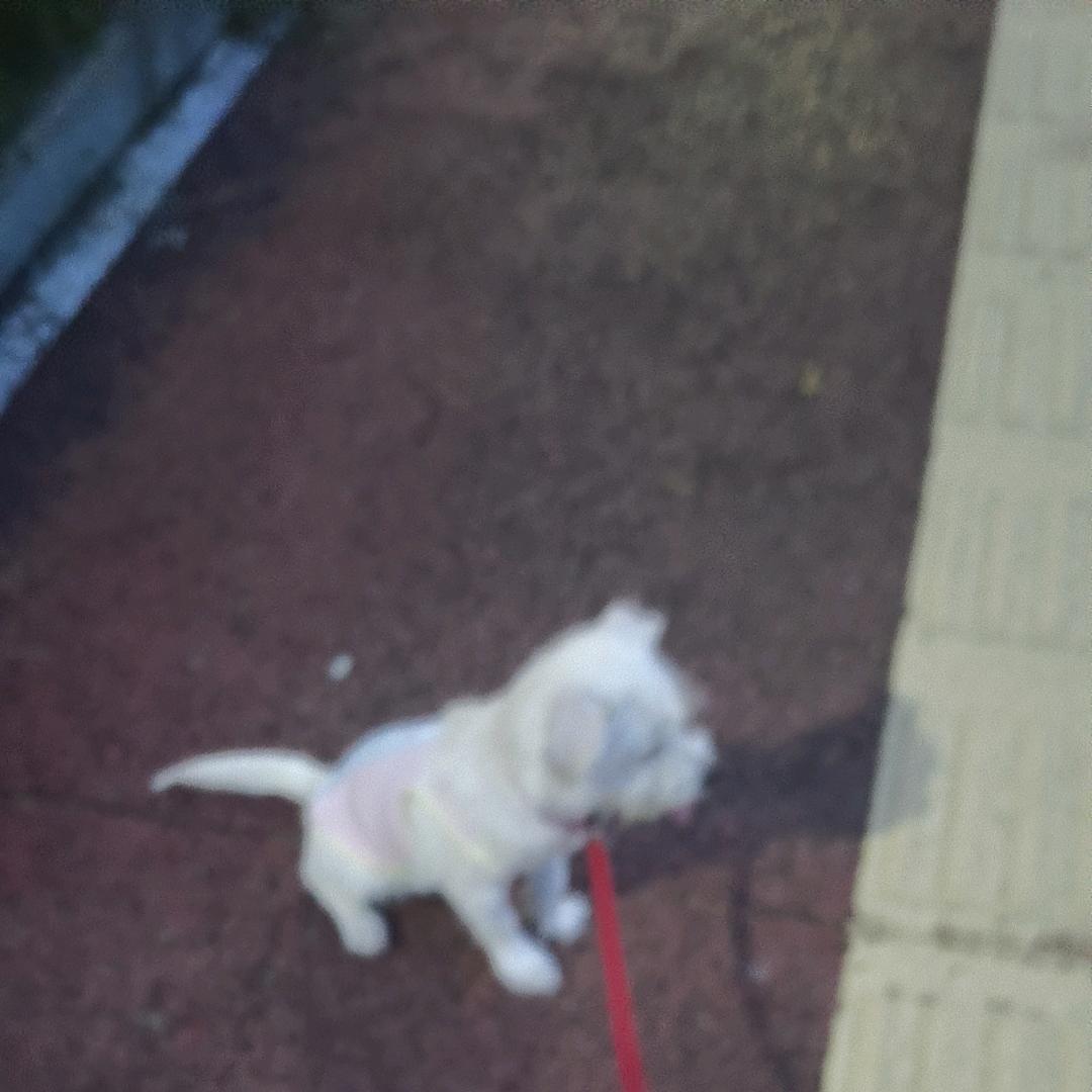 ℒ1Ꭽ时来ℯ⃝运转 ᭄࿐