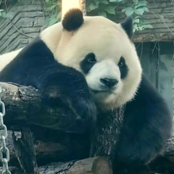 风止१