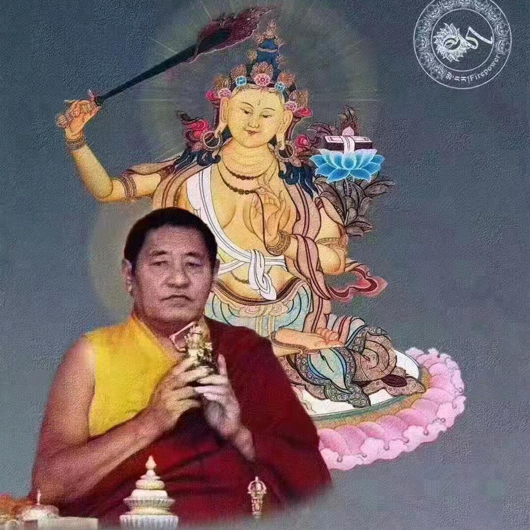 洛✨✨株