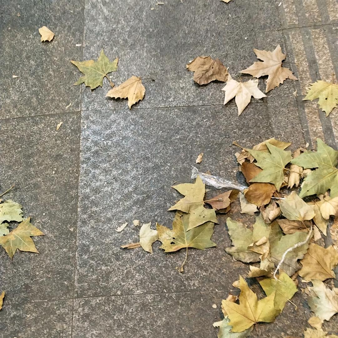 ………Xia'🌸⃟֯֯֯࿐