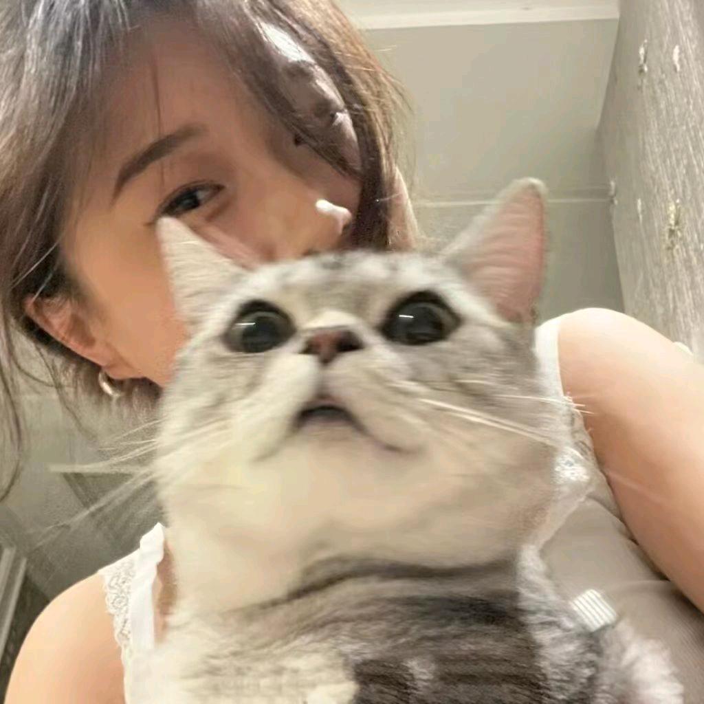 没u烦恼^