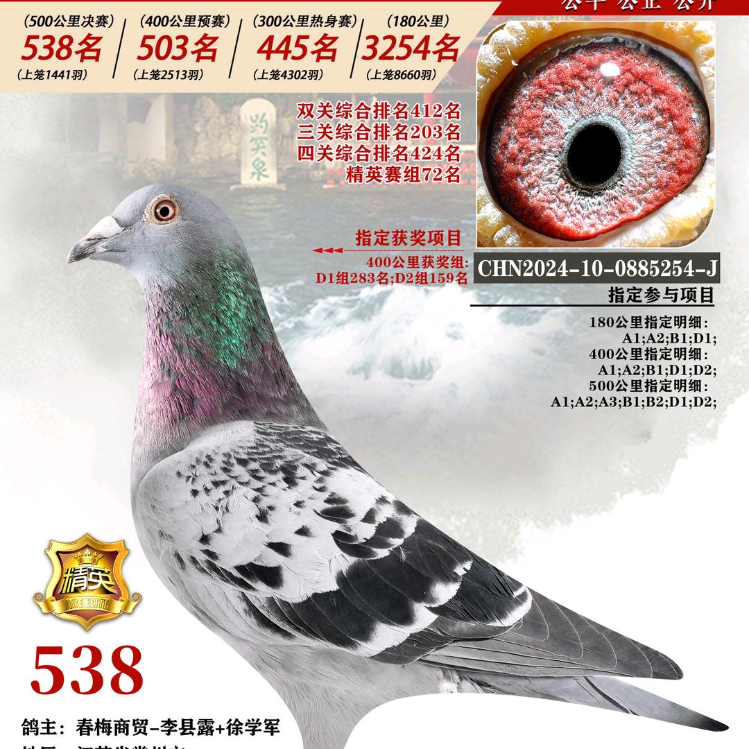 春梅商贸！好人一生平安！