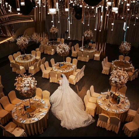 红星臻宴官方号