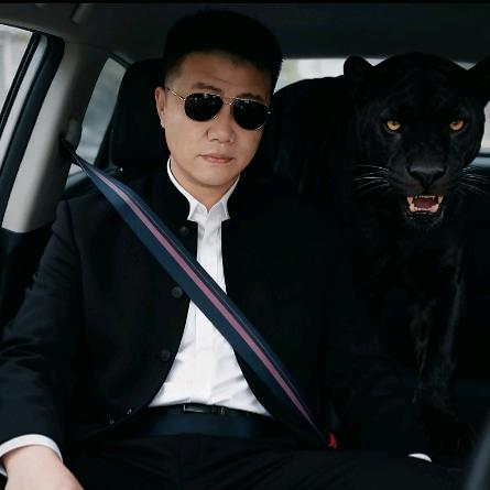 单一张少爷