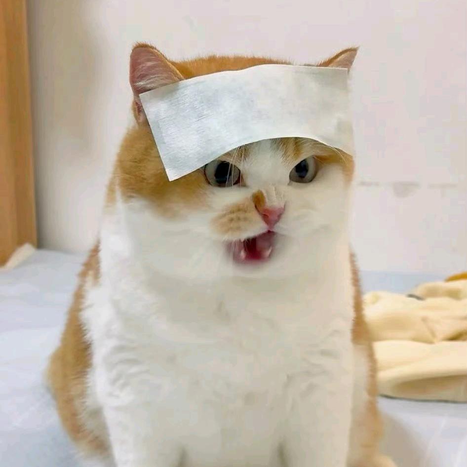 酉星