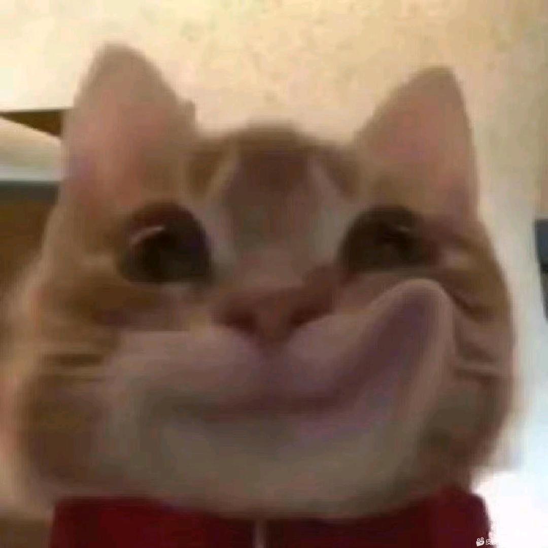 懵懵懵孟
