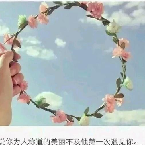 加油gogo