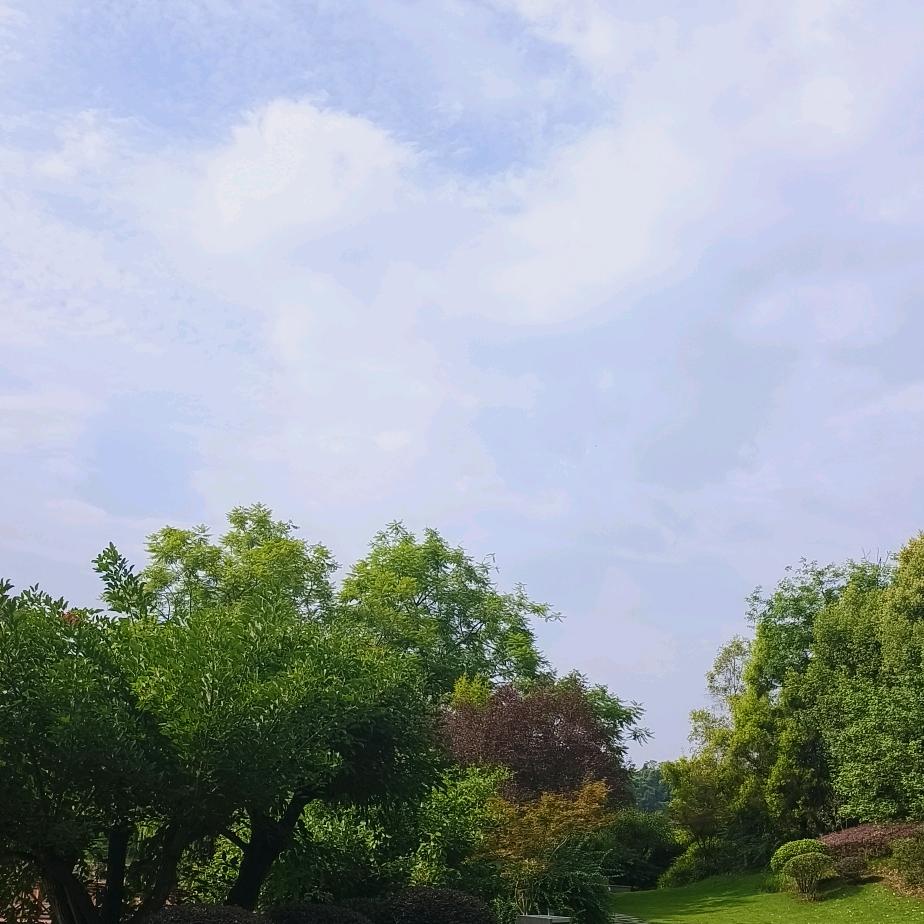 珍爱自己