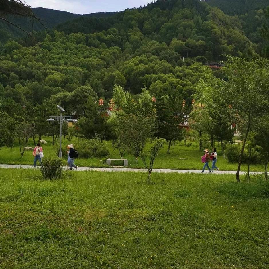 李先生